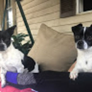 Meet your Posher, Adriana